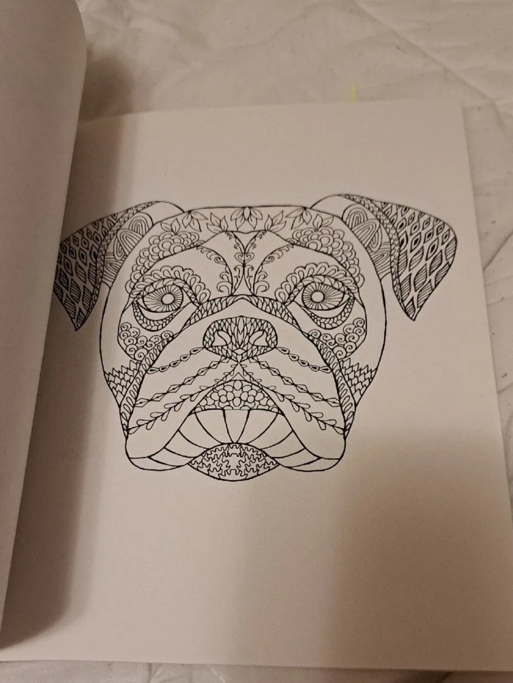Colorama Delightful Dogs Coloring Book by Bullhead – Multicolor